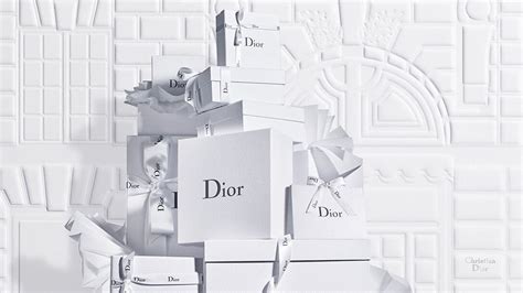 dior rome website|Dior official online.